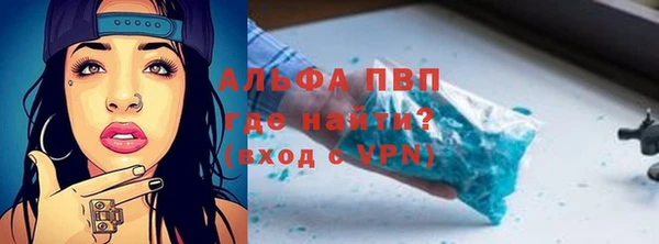 эйфоретик Богданович