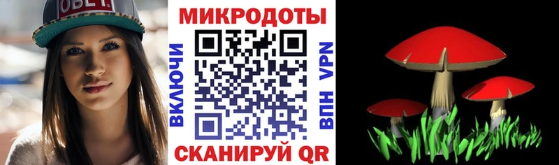 Галлюциногенные грибы Cubensis  Вязники 