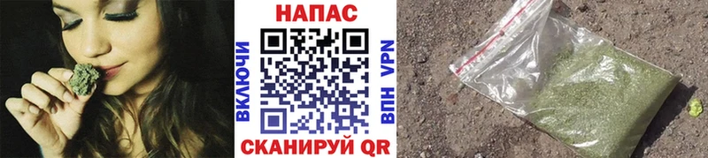 Бошки Шишки марихуана  Вязники 